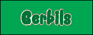 Gerbils - ColecoVision.dk